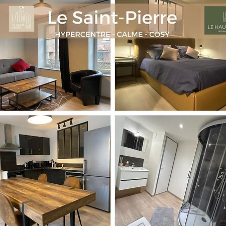 Hypercentre, Calme, Cosy - Le Saint-Pierre Apartment Pontarlier Luaran gambar